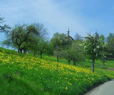Landgasthof Hirschen Albbruck Zewnętrze zdjęcie